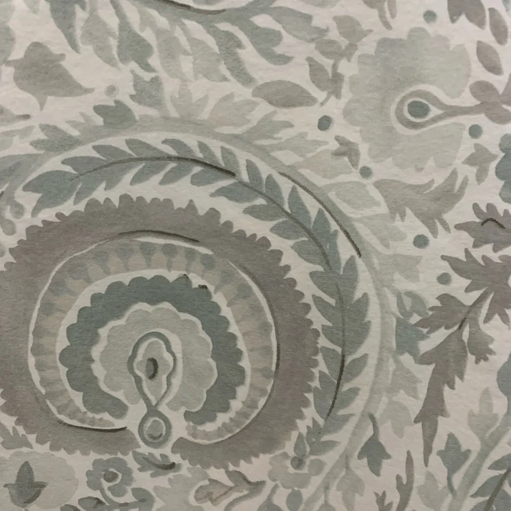 Pottery Barn Paisley euro sham